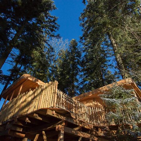 Domaine De L'Authentique Cabanes Dans Les Arbres Fournet-Blancheroche Exterior foto