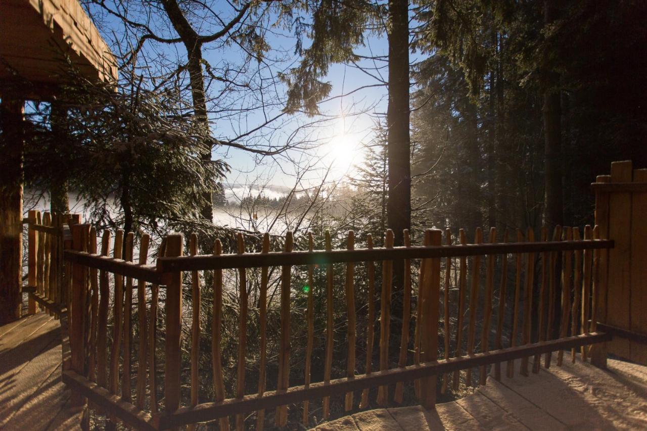 Domaine De L'Authentique Cabanes Dans Les Arbres Fournet-Blancheroche Exterior foto