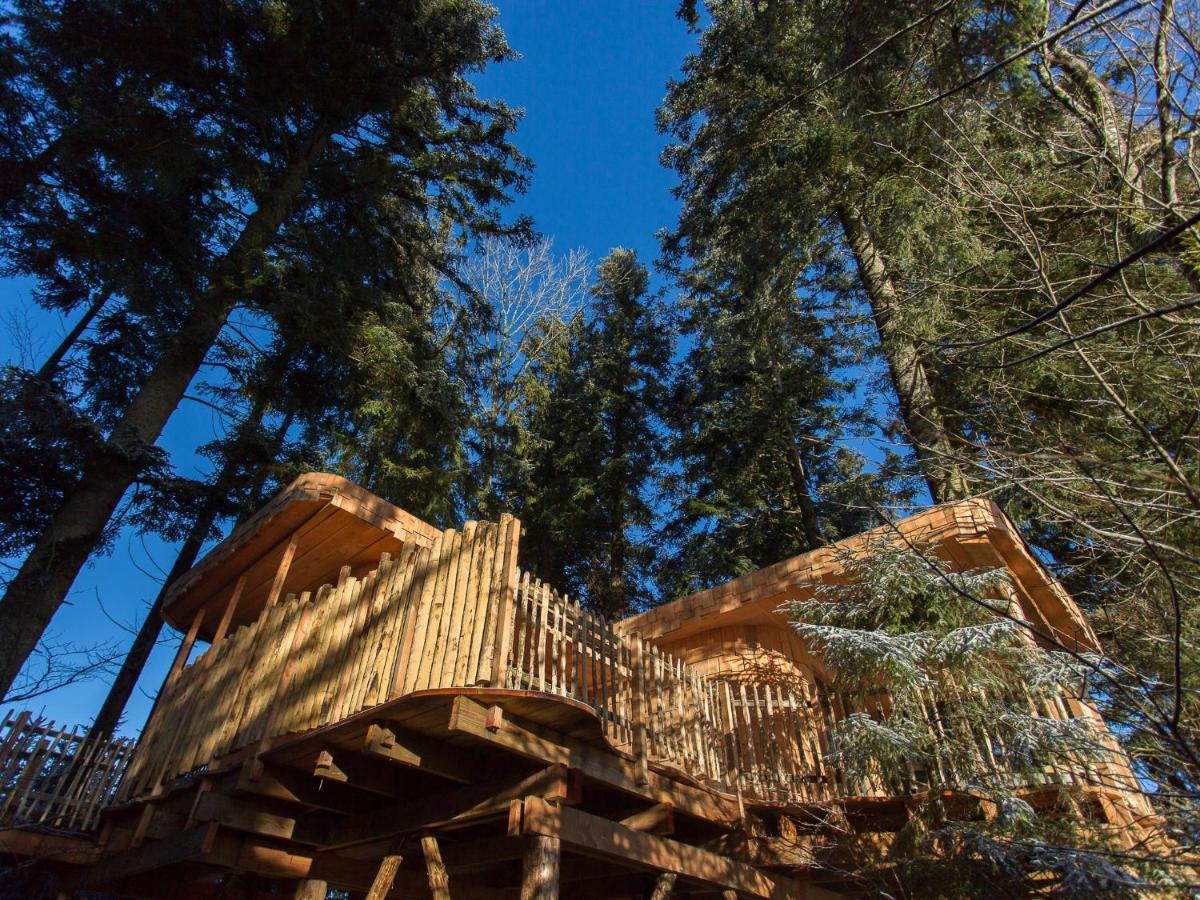 Domaine De L'Authentique Cabanes Dans Les Arbres Fournet-Blancheroche Exterior foto