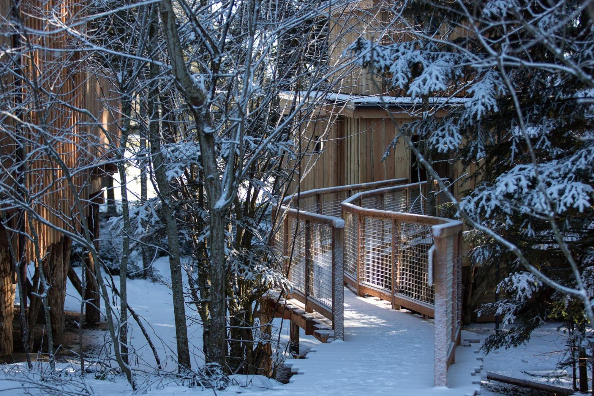 Domaine De L'Authentique Cabanes Dans Les Arbres Fournet-Blancheroche Habitación foto